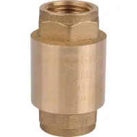 Клапан обратный пружинный муфтовый 1/2' с металлическим седлом STOUT RG008T8CL6A48R Нижний Новгород