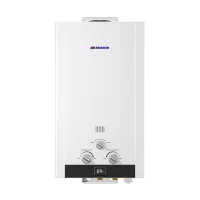Водонагреватель газовый Edisson HEAT H 20 D 10 л/мин с электророзжигом Thermex ЭдЭ001681