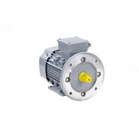 Электродвигатель ESQ PR 355 MA6-SDN-Б1-S12-IE3 160/1000 IMB35 Нижний Новгород