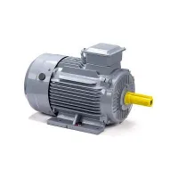Электродвигатель ESQ PR 160 S4 GST-Б1-S12-IE2 15/1500 IM1001 Нижний Новгород