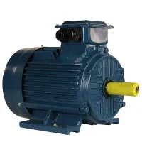 Электродвигатель 5АИ 100 L2 ET 5,5/3000 IM1081 Нижний Новгород