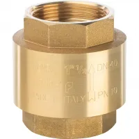 Клапан обратный пружинный муфтовый 1 1/2' с пластиковым седлом STOUT RG008Q0JTDG5Q4