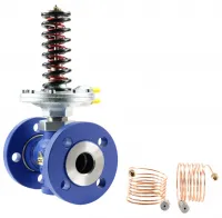 Регулятор давления LDM серии RD 122 V RD122V4401-32F 220-1000 кПа Нижний Новгород