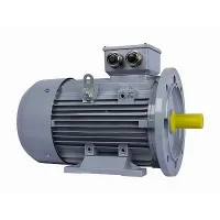 Электродвигатель ESQ PR 100 LA2-SDN-Б1-S12-IE3 3/3000 IMB35 Нижний Новгород
