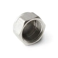 Заглушка резьбовая, В 1 1/2 PRO AQUA 09-F40x