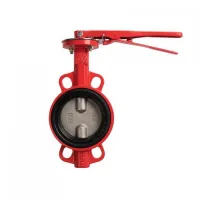 Затвор дисковый поворотный межфланцевый DN 65 PN 16 тип 017W КРАСНЫЙ диск чугун с рукояткой DENDOR УТ000001215 Нижний Новгород