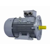 Электродвигатель ESQ PR 100 LA2-SDN-Б1-S12-IE2 3/3000 IMB35 Нижний Новгород