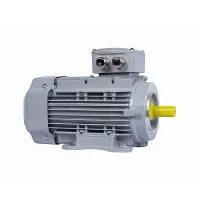 Электродвигатель ESQ PR 100 LB4-SDN-Б1-S12-IE2 3/1500 IMB34 Нижний Новгород