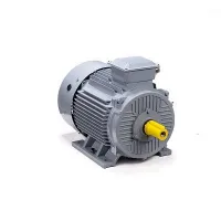 Электродвигатель ESQ PR 315 S4 GST-Б1-S32-IE2 160/1500 IM1001 Нижний Новгород