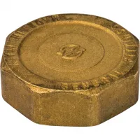 Заглушка ВР 2' STOUT RG008Q0QTJ4BMF