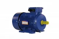 Электродвигатель 5АИ 100 L4 ED 4/1500 IM1081 Нижний Новгород
