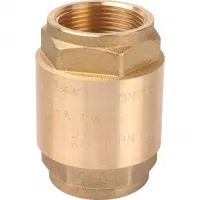 Клапан обратный пружинный муфтовый 1 1/4' с металлическим седлом STOUT RG008T8CLI9LTE