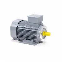 Электродвигатель ESQ PR 80 A4-SDN-Б1-S12-IE2 0,55/1500 IMB34 Нижний Новгород