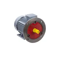 Электродвигатель ESQ PR 100 L4 GST-Б1-S12-IE2 4/1500 IM2081 Нижний Новгород