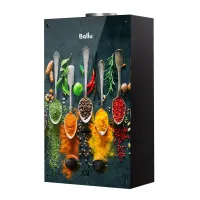 Водонагреватель газовый GWH 10 Fiery Glass Curry Ballu НС-1584732