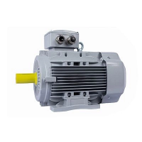 Электродвигатель ESQ PR 100 LA2-SDN-Б1-S12-IE3 3/3000 IMB3 Нижний Новгород